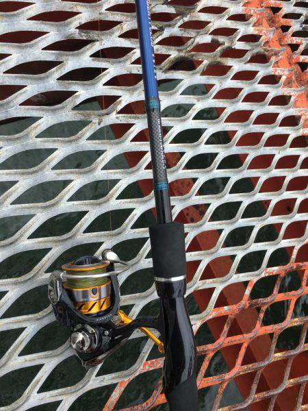 休みが出来たのでエギング 1人釣行